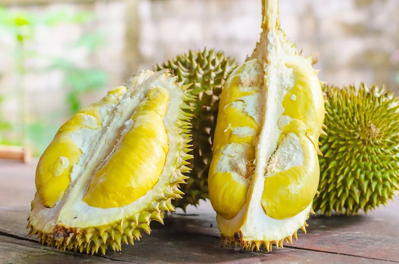 Đặc điểm sầu riêng tại Đắk Lắk