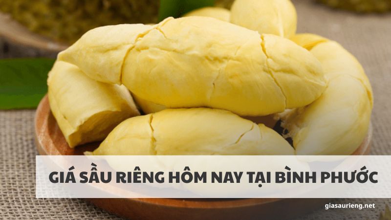 Cập nhật giá sầu riêng hôm nay tại Bình Phước mới nhất