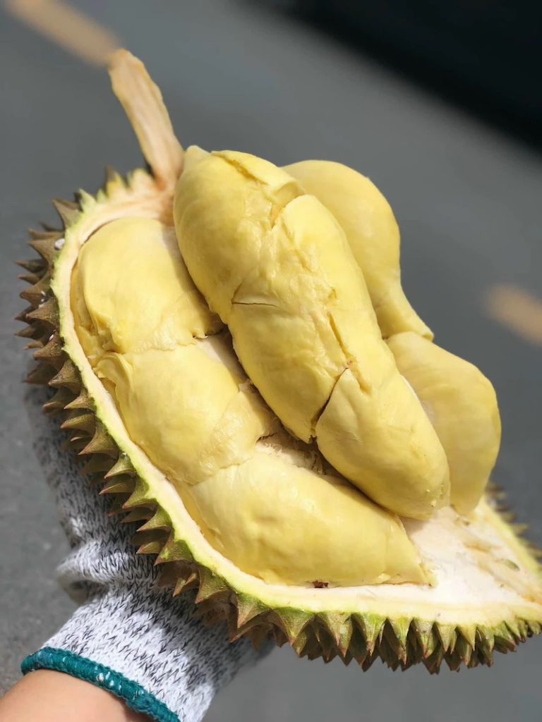 Đặc điểm sầu riêng Monthong