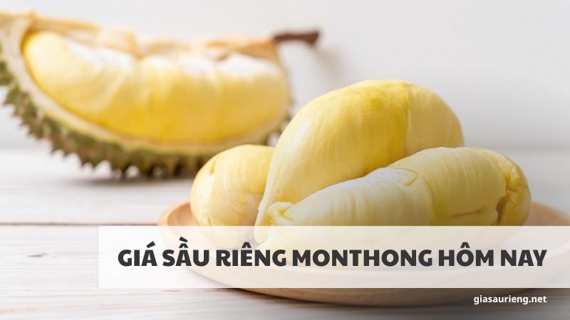 Giá sầu riêng Monthong hôm nay - Cập nhật mới nhất