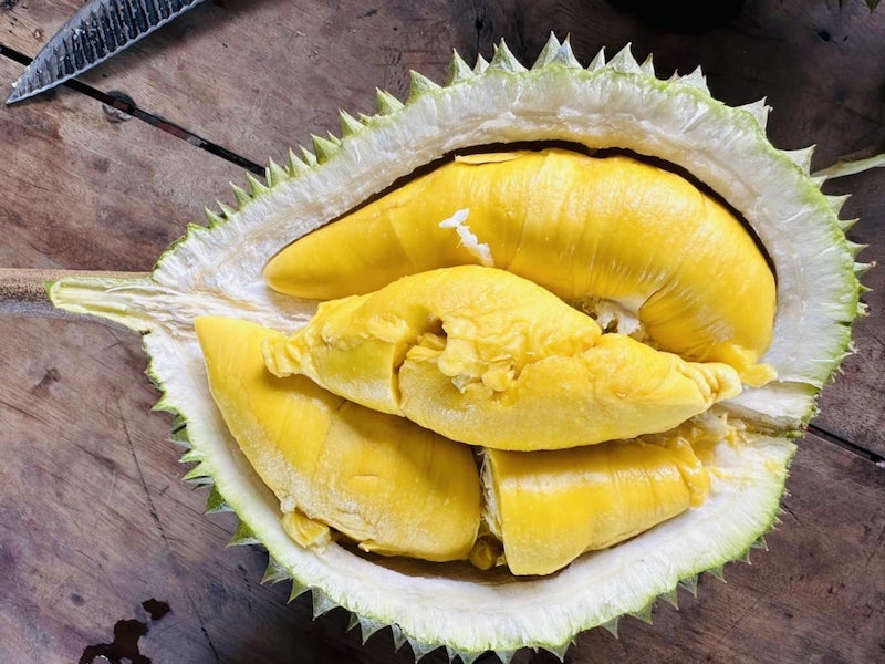 Đặc điểm của sầu riêng Musang King