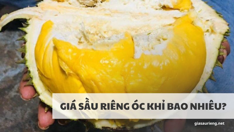 Giá sầu riêng óc khỉ bao nhiêu 1 ký? Có ngon không?