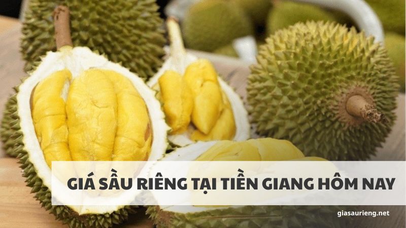 Giá sầu riêng tại Tiền Giang hôm nay mới nhất, chính xác nhất