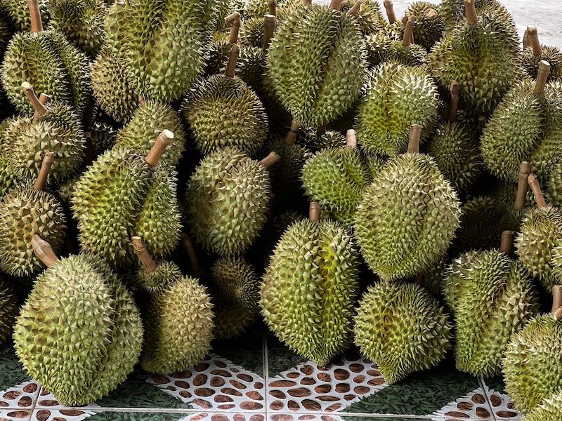 Giá sầu riêng Tây Nguyên hôm nay