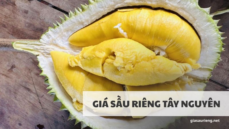 Giá sầu riêng Tây Nguyên mới nhất - Cập nhật chính xác