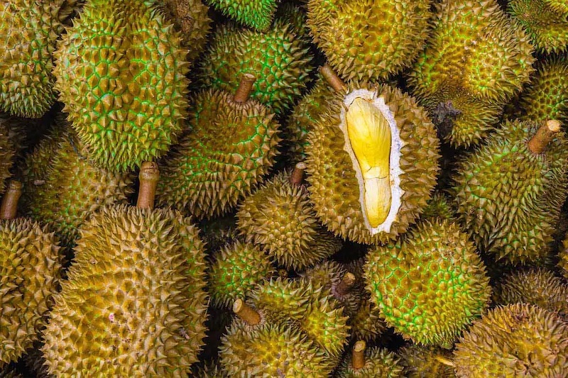 Giá sầu riêng Thái hôm nay