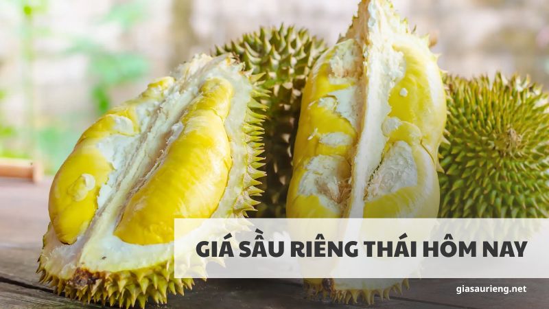 Giá sầu riêng Thái hôm nay - Cập nhật bảng giá mới nhất